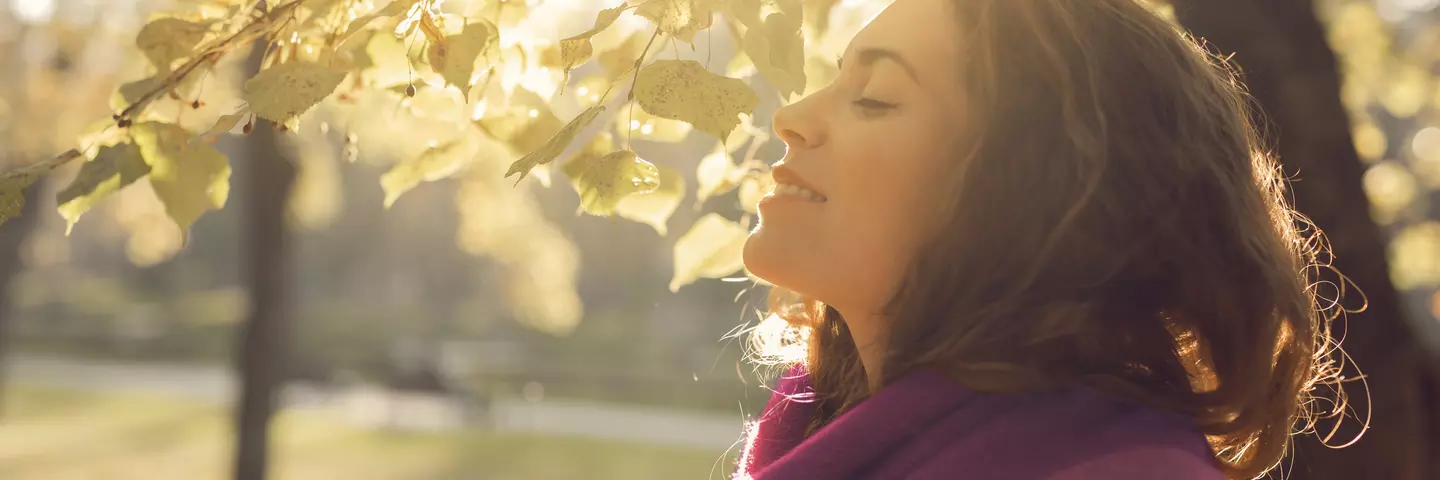 sunshine