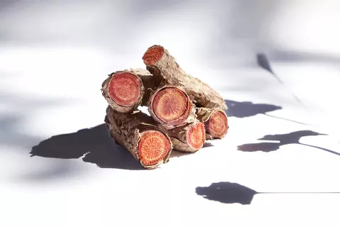 Pelargonium sidoides