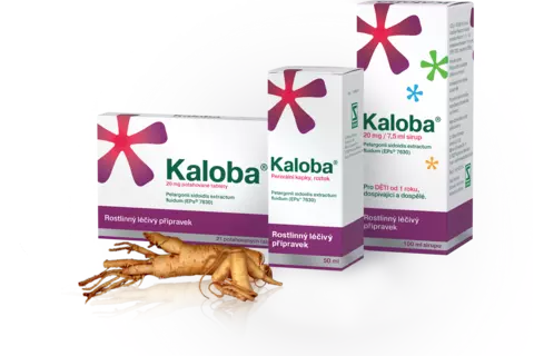 Krabičky Kaloba tablety, sirup, kapky a kořen pelargonie sidoides