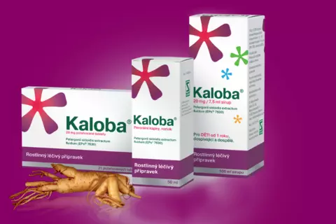 Kaloba tablety, kapky, sirup fialové pozadí