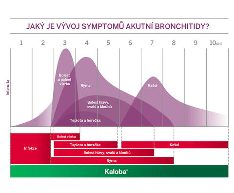 Graf s časovým vývojem symptomů akutní bronchitídy 